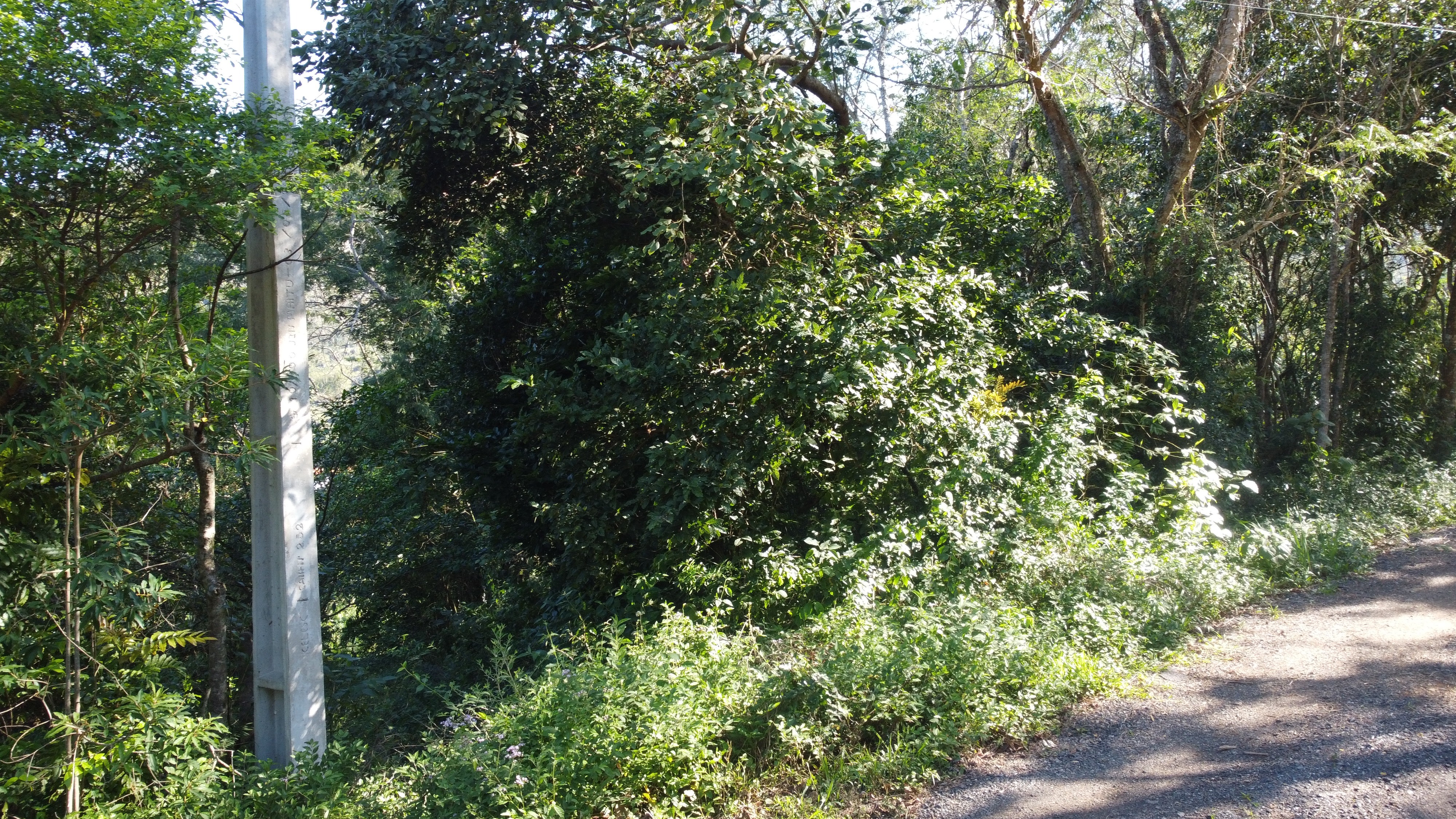 Terreno/Lote à venda, 700 m² por R$ 600.000,00 Terreno/Lote à venda, 700 m² por R$ 600.000,00