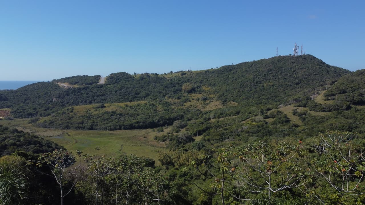 Terreno, 2473 m² - Foto 12