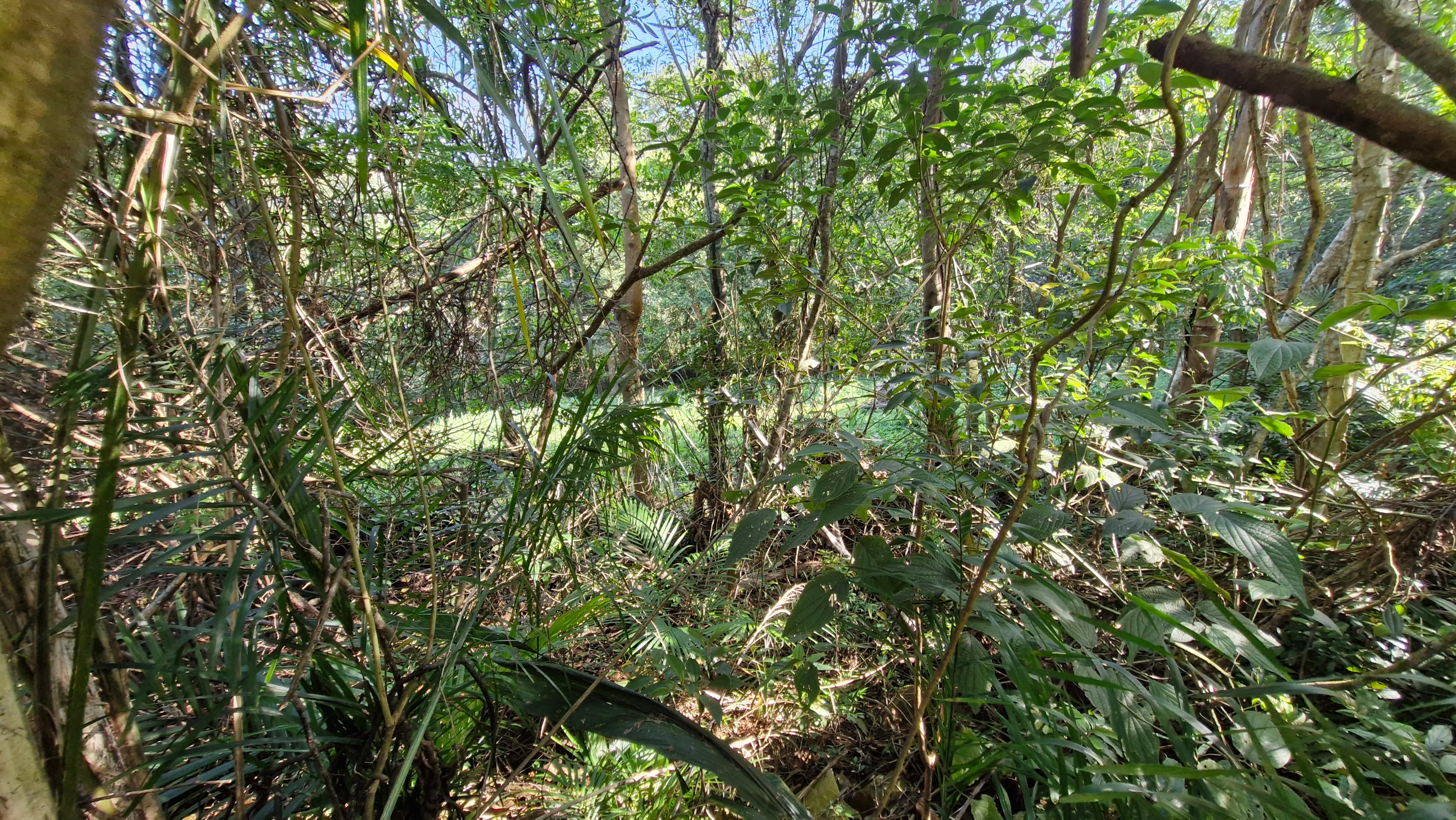 Terreno, 700 m² - Foto 14