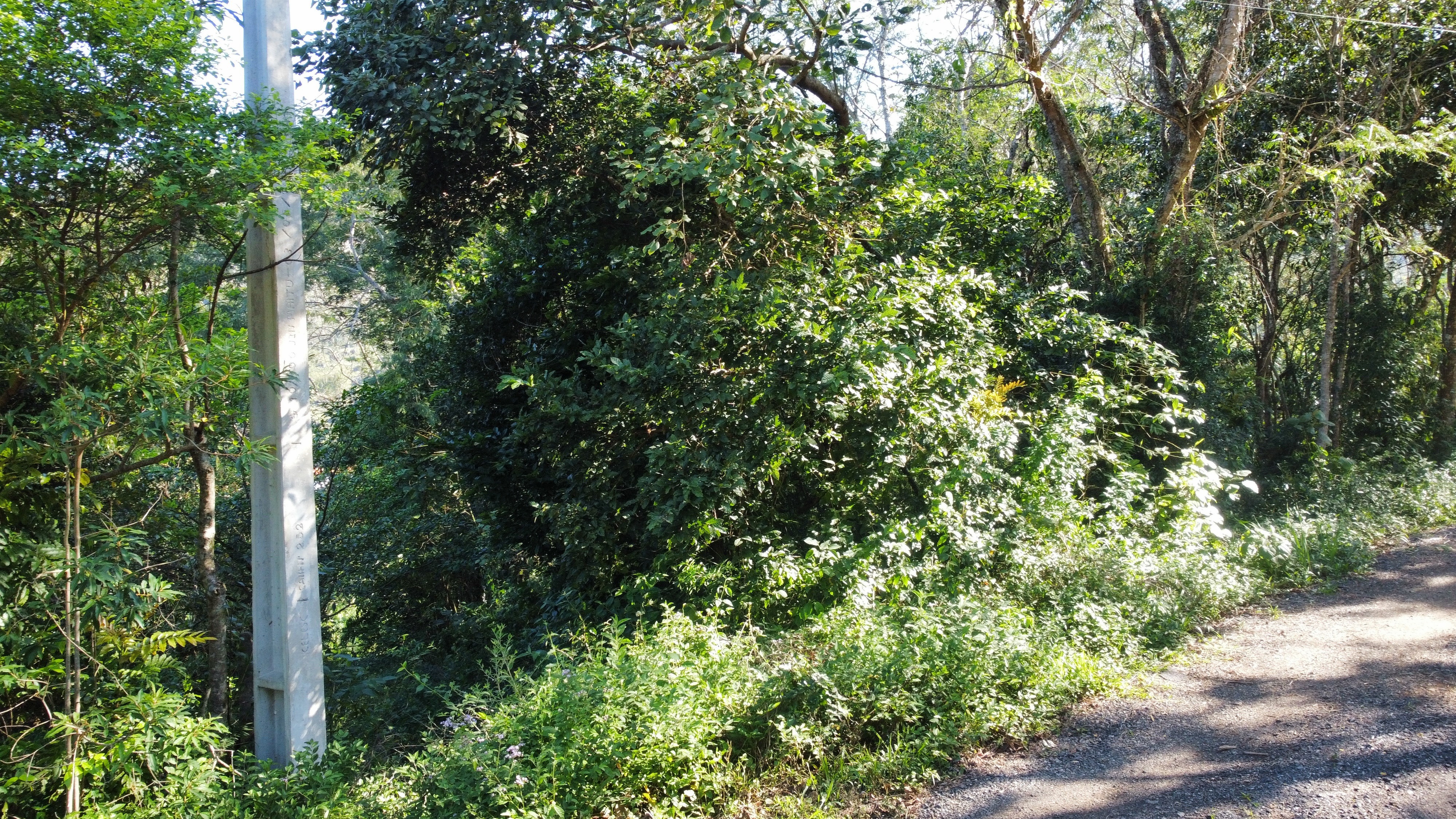 Terreno/Lote à venda, 700 m² por R$ 600.000,00 Terreno/Lote à venda, 700 m² por R$ 600.000,00