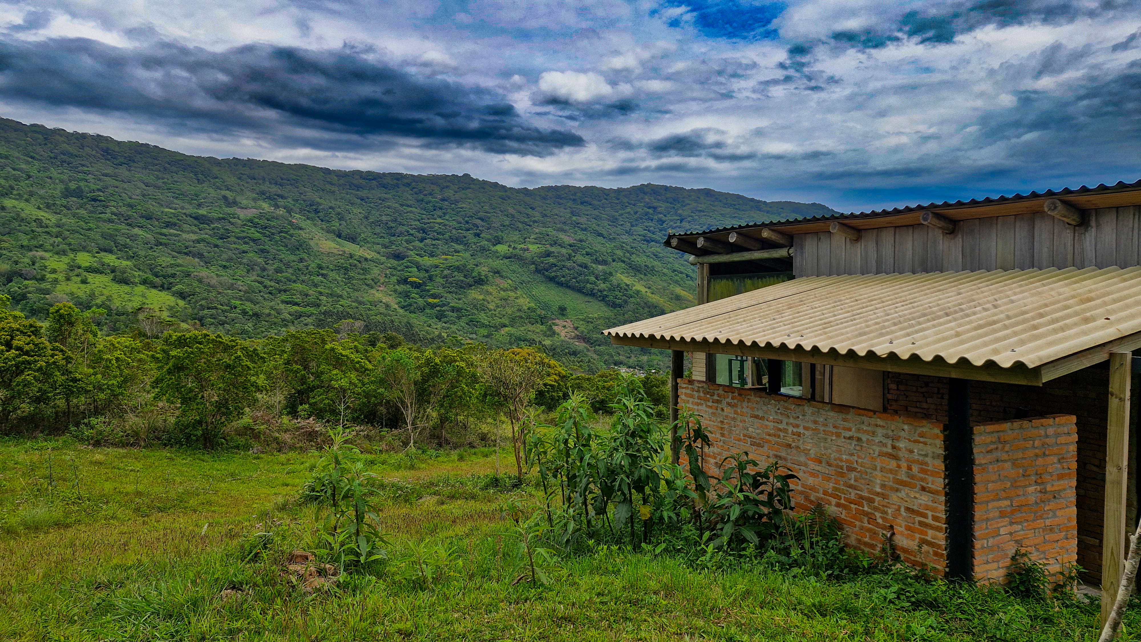 Terreno, 2 hectares - Foto 19