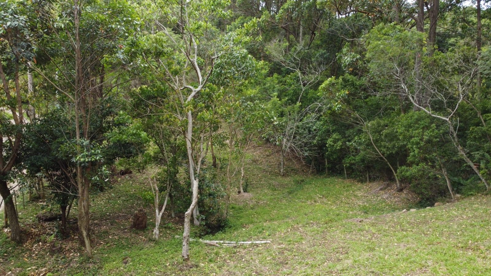 Terreno/Lote à venda, 3.013 m² por R$ 1.240.000,00 Terreno/Lote à venda, 3.013 m² por R$ 1.240.000,00