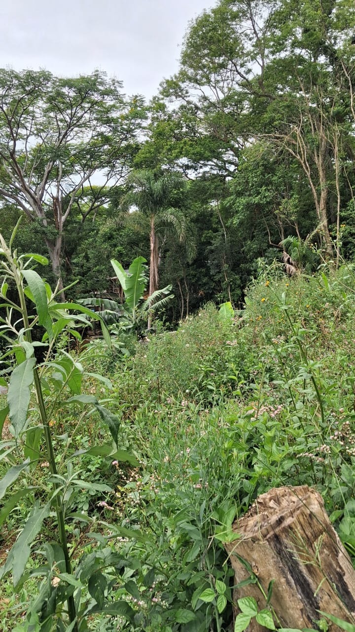 Terreno/Lote à venda, 360 m² por R$ 280.000,00 Terreno/Lote à venda, 360 m² por R$ 280.000,00