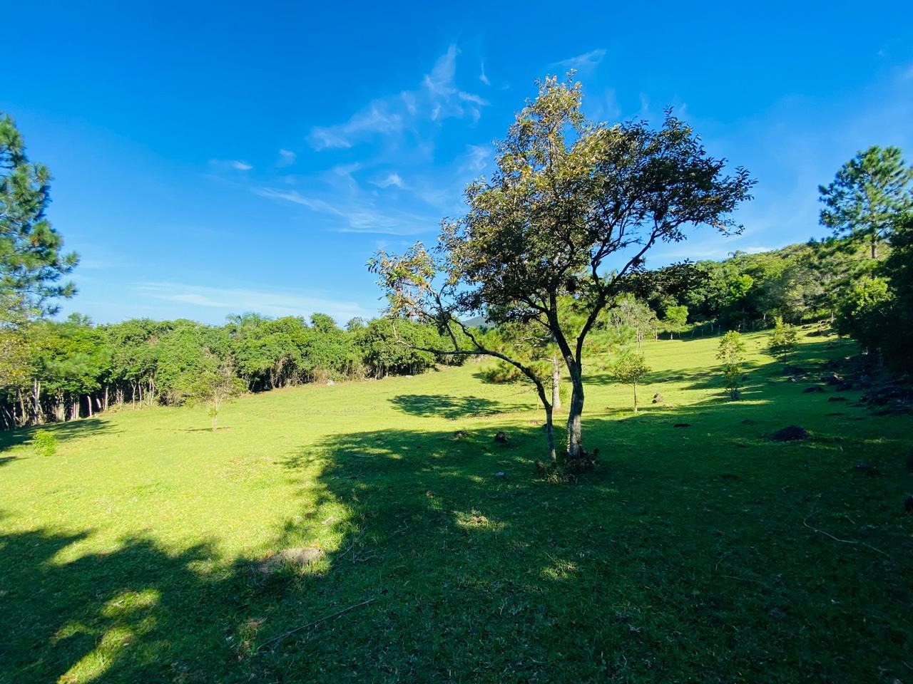 Terreno, 2 hectares - Foto 16