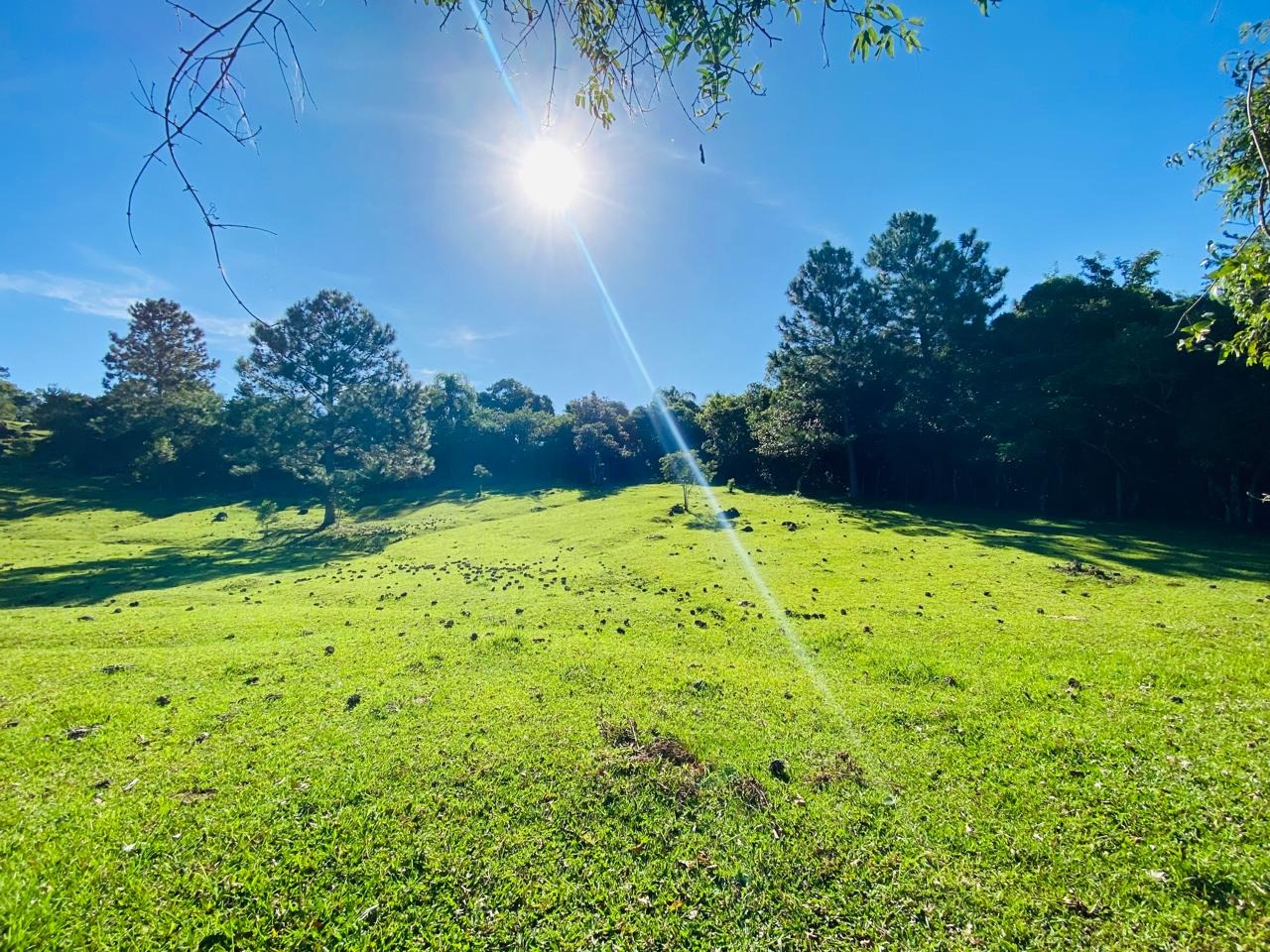 Terreno, 2 hectares - Foto 15