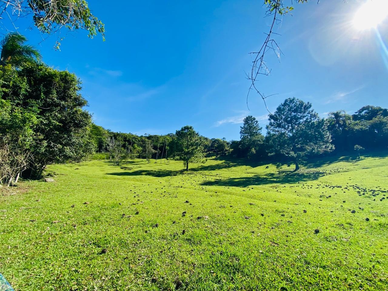 Terreno, 2 hectares - Foto 14