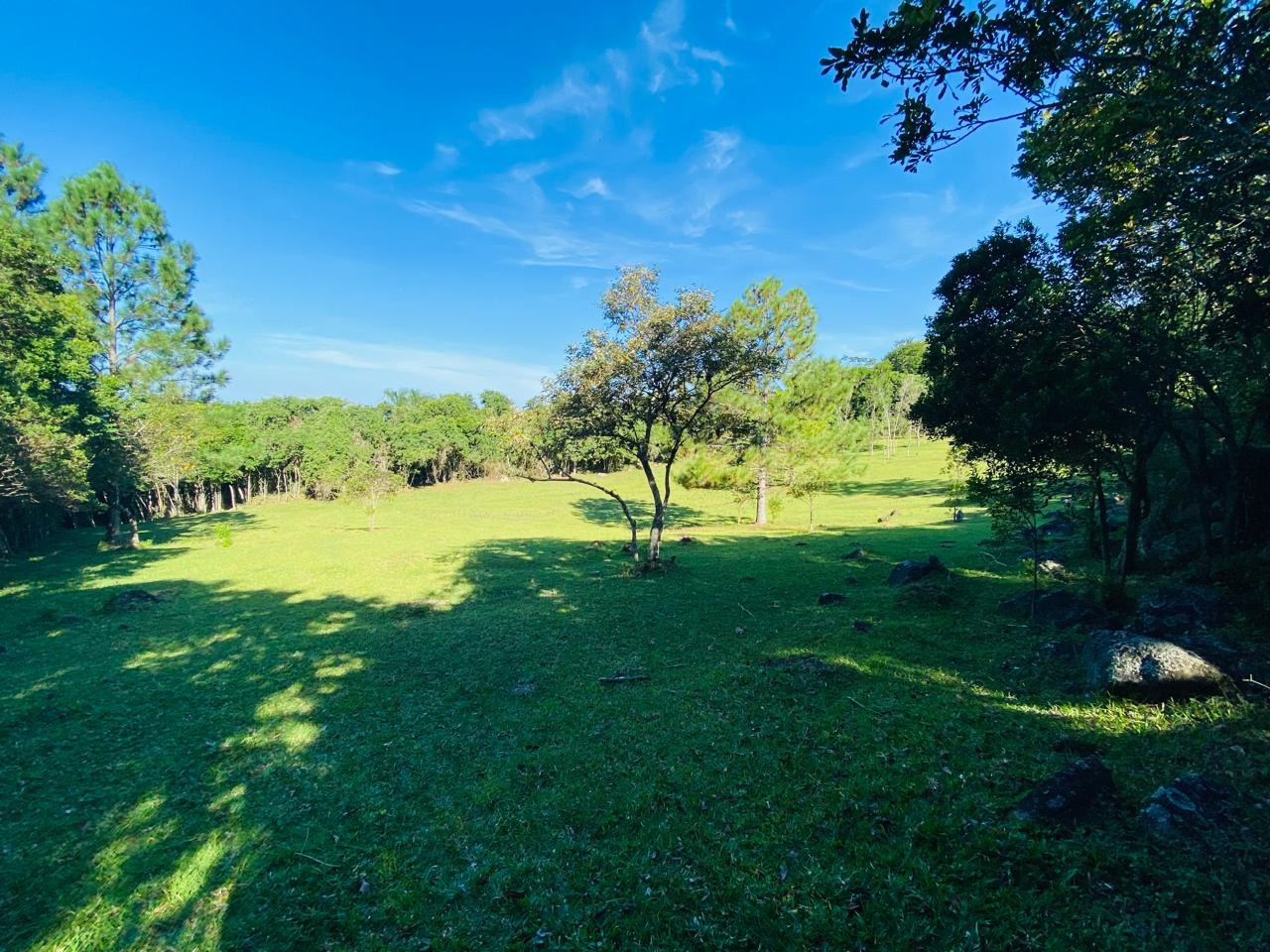 Terreno, 2 hectares - Foto 17