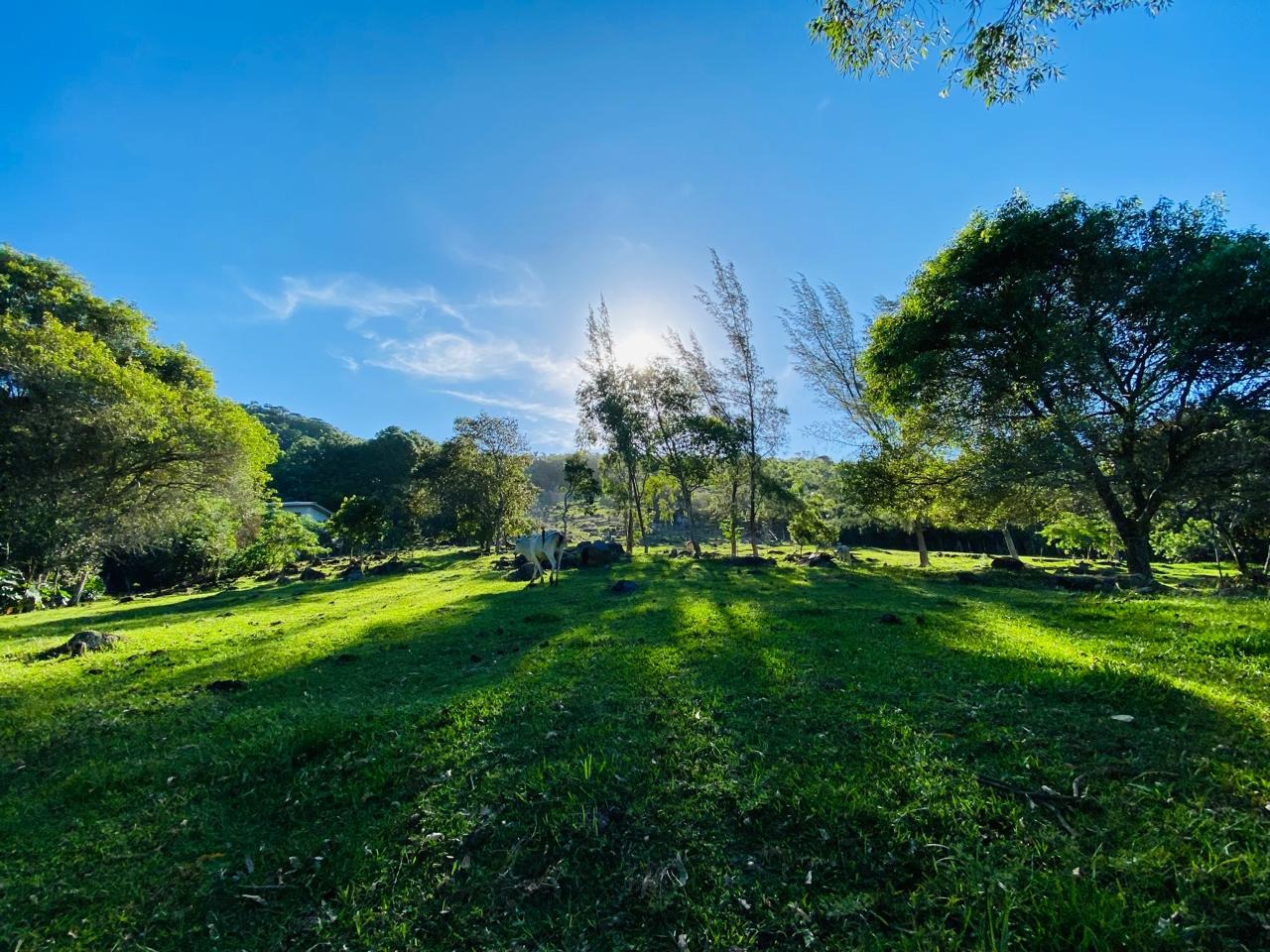 Terreno, 2 hectares - Foto 31