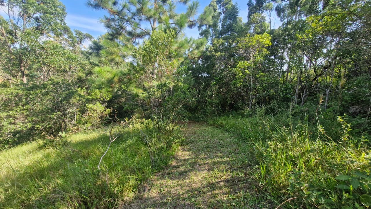 Terreno, 7000 m² - Foto 11