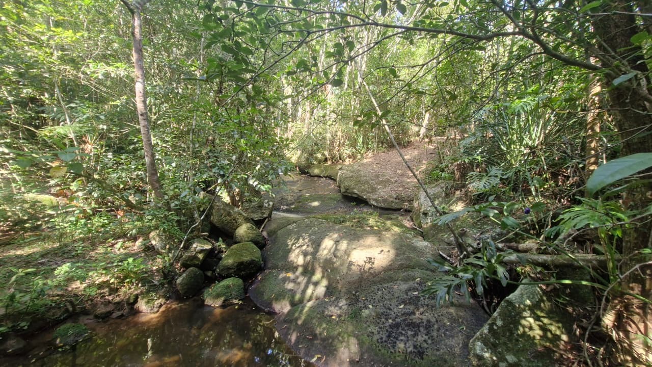 Terreno, 7000 m² - Foto 18