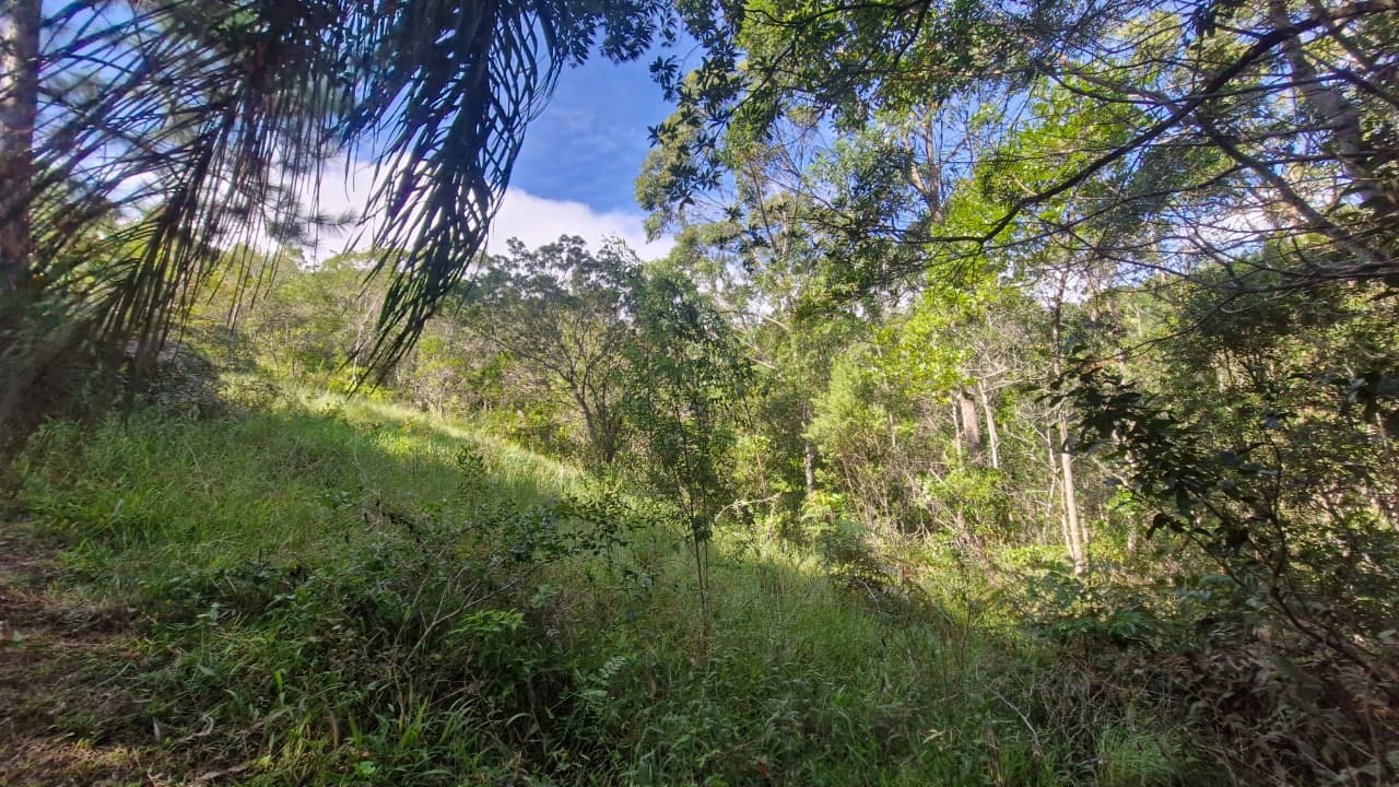 Terreno, 7000 m² - Foto 12