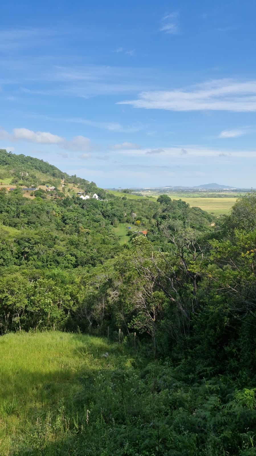Terreno, 1000 m² - Foto 13
