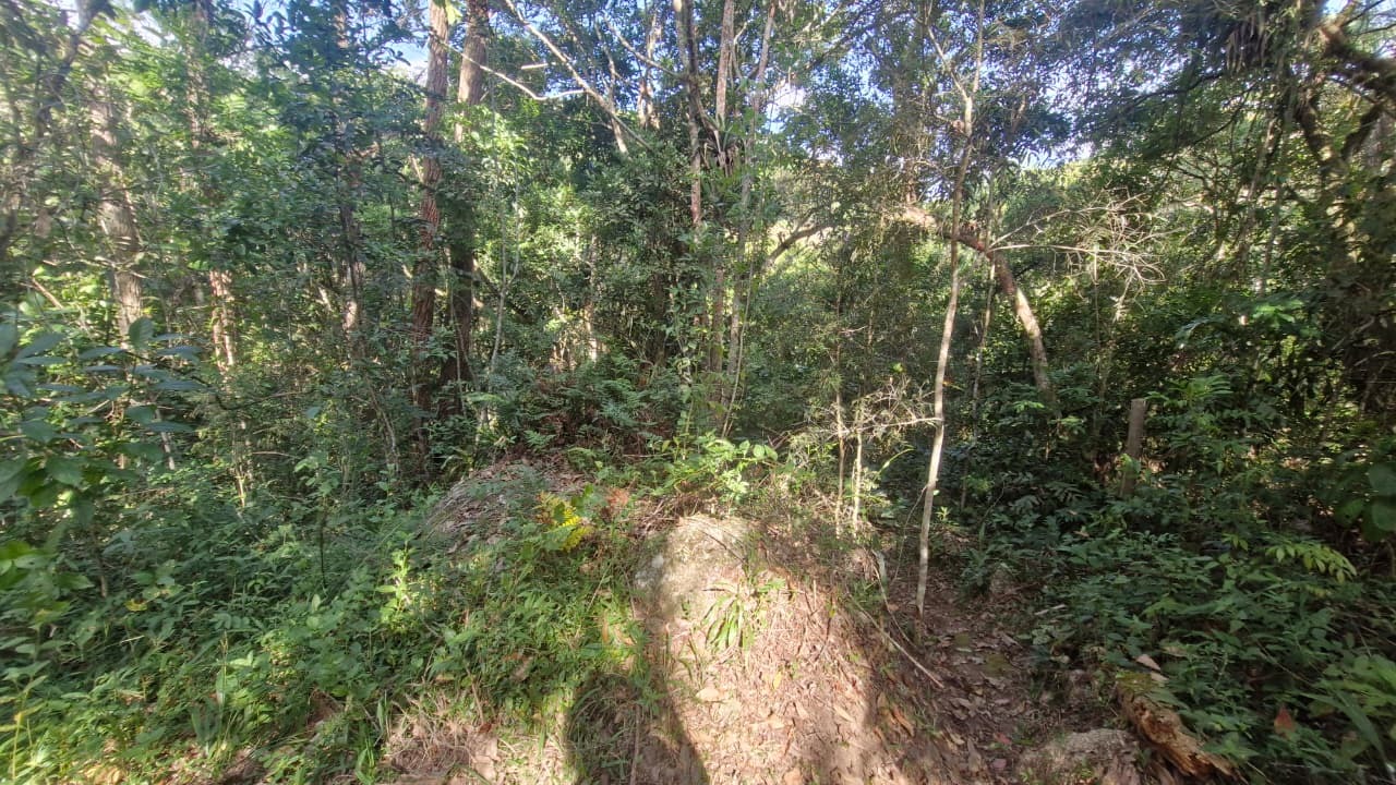 Terreno, 7000 m² - Foto 14