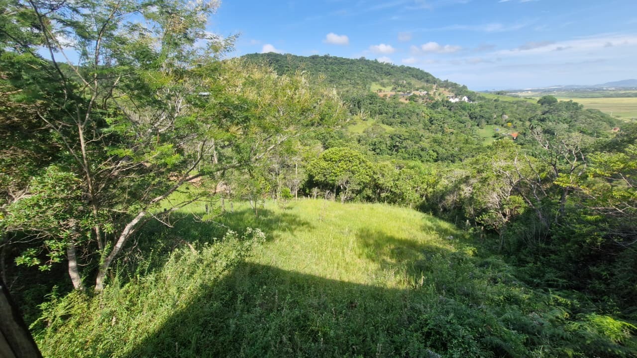 Terreno, 1000 m² - Foto 14