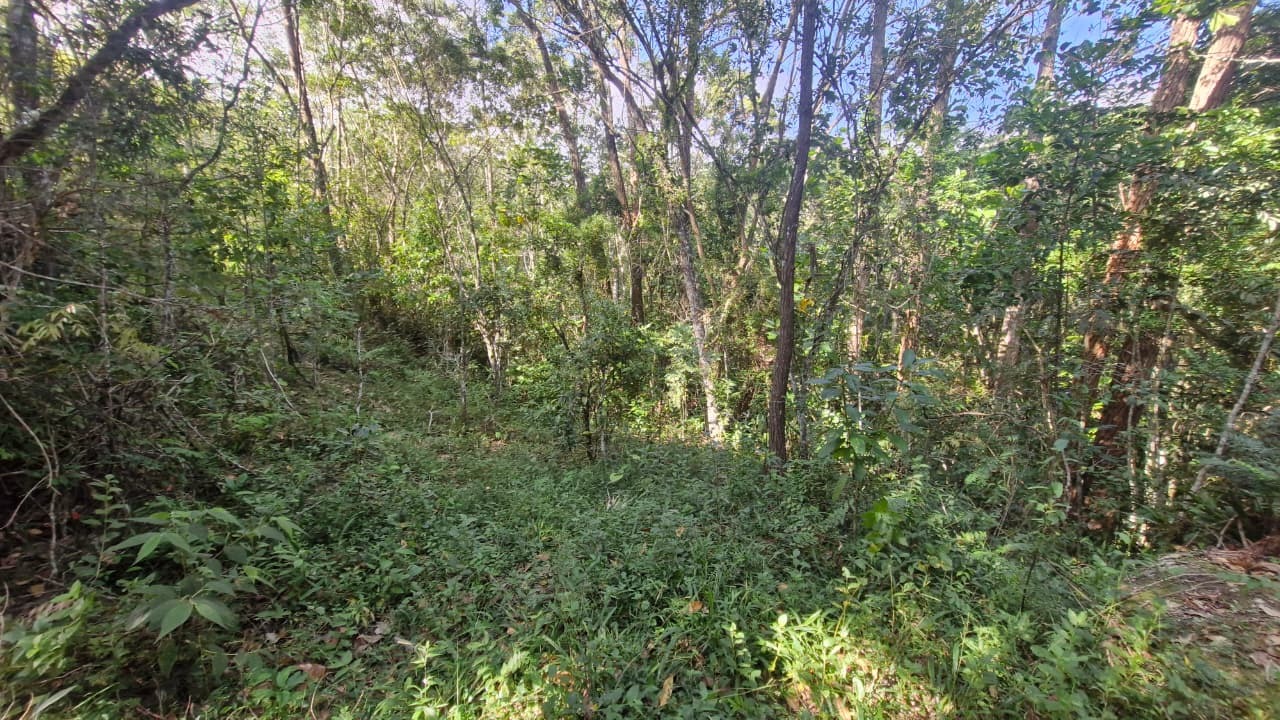 Terreno, 7000 m² - Foto 15
