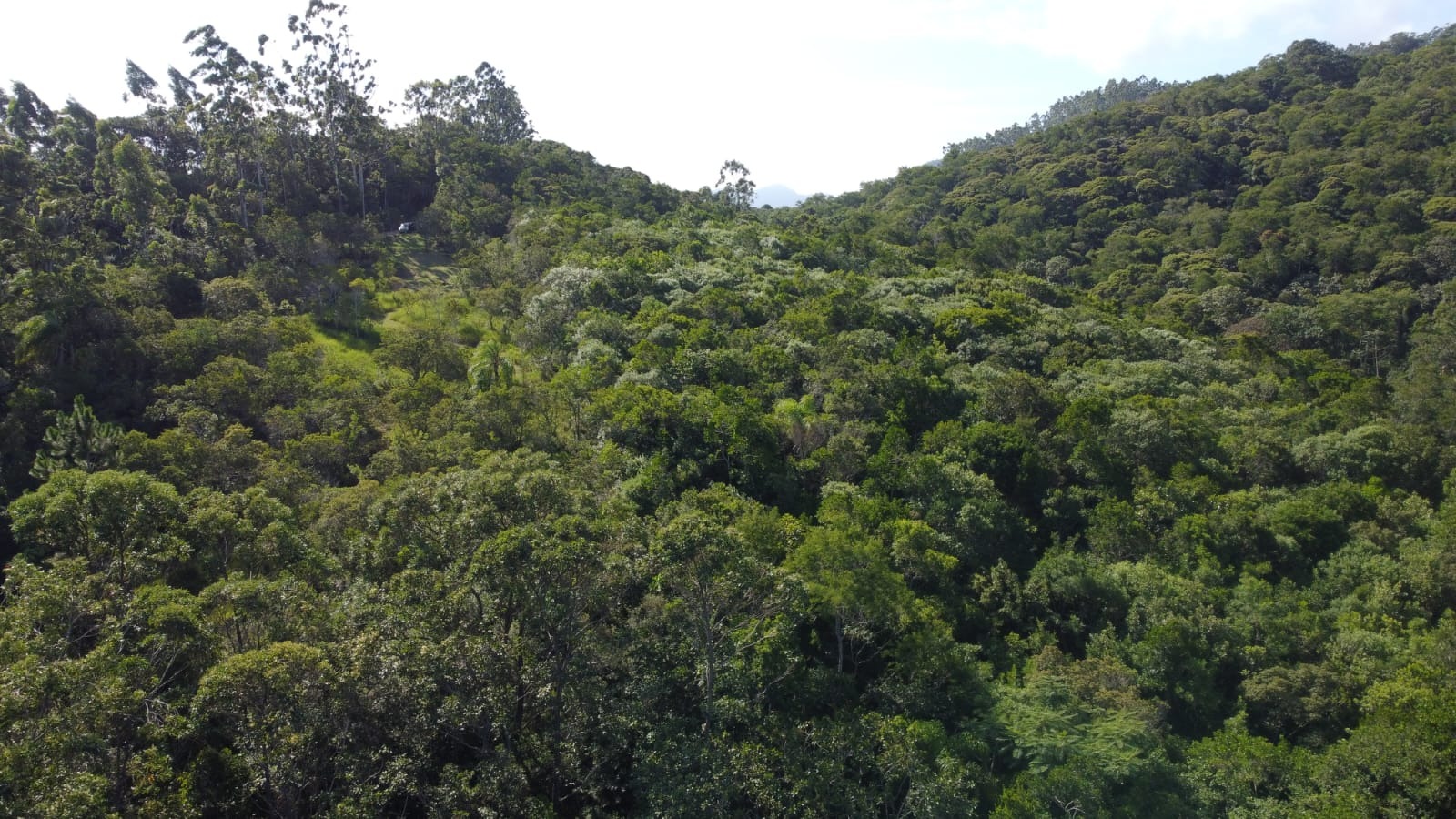 Terreno, 7000 m² - Foto 24