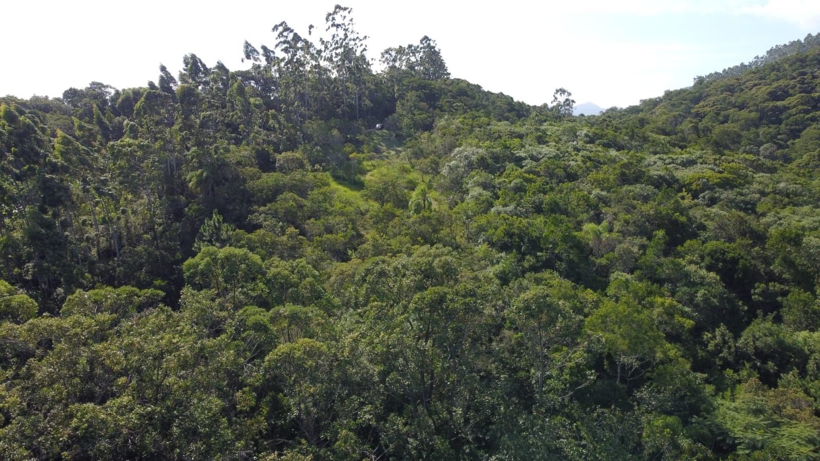 Terreno, 7000 m² - Foto 25