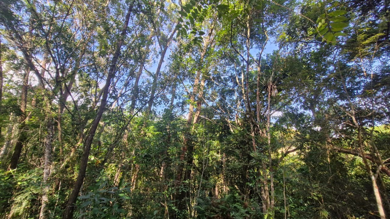 Terreno, 7000 m² - Foto 13