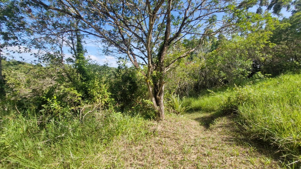 Terreno/Lote à venda, 7.000 m² por R$ 690.000,00 Terreno/Lote à venda, 7.000 m² por R$ 690.000,00