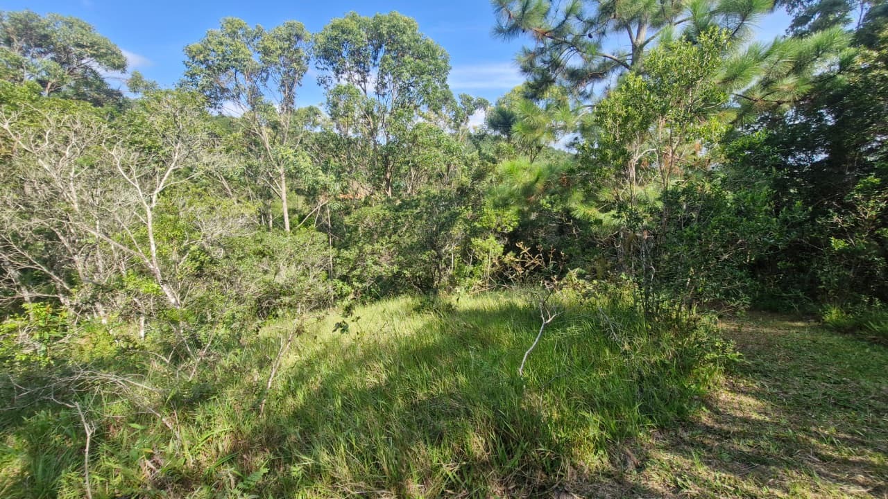 Terreno/Lote à venda, 7.000 m² por R$ 690.000,00 Terreno/Lote à venda, 7.000 m² por R$ 690.000,00