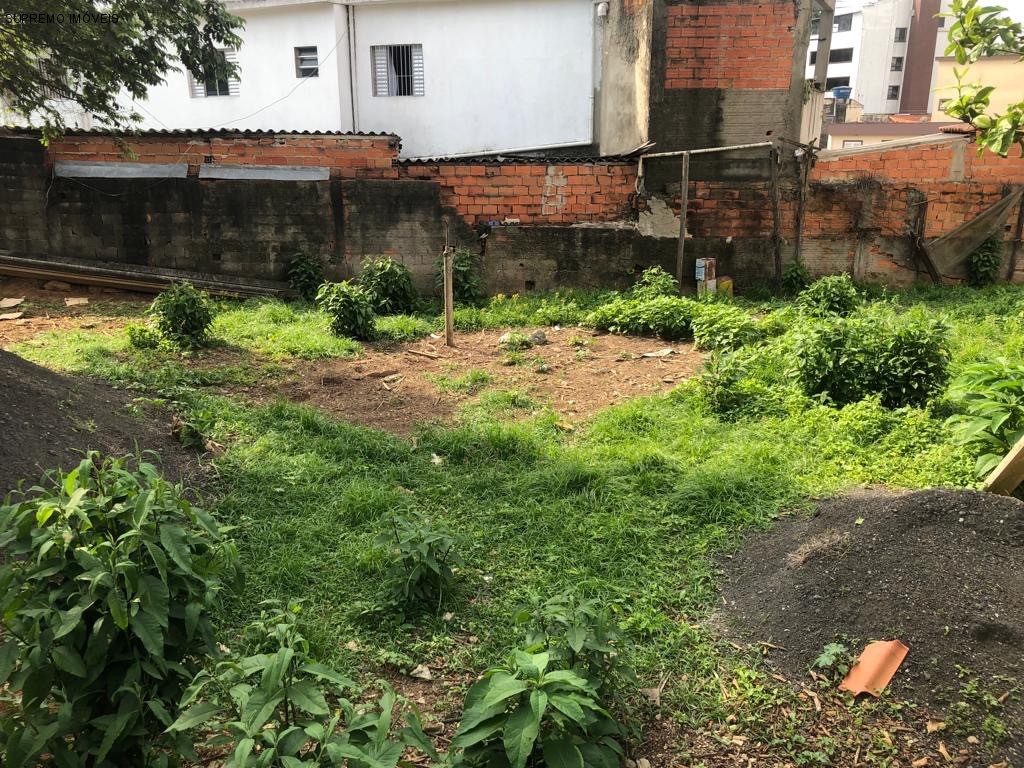 Lote para Comprar em JARDIM VIRGÍNIA - TABOÃO DA SERRA - SP