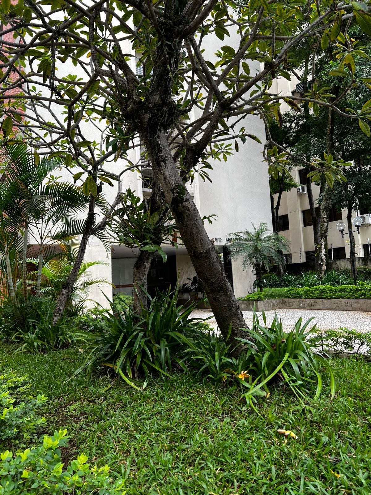 Apartamento, 2 quartos, 85 m² - Foto 24