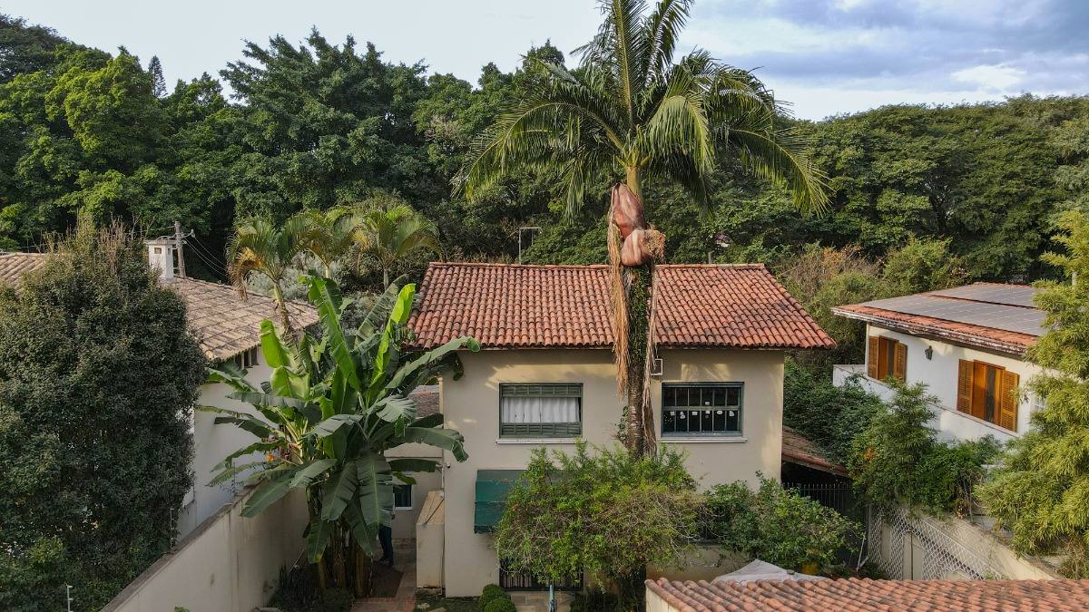 Casa, 4 quartos, 198 m² - Foto 41