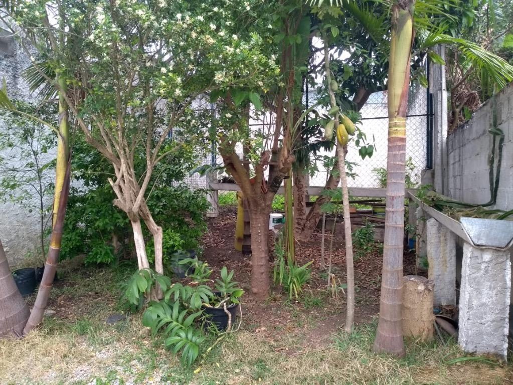 CASA em Santo André - SP, Vila Luzita