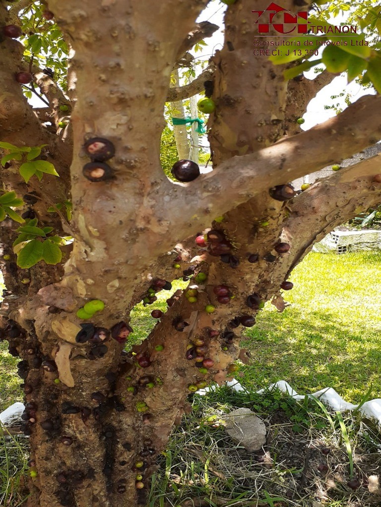 CHACARA RESIDENCIAL em SALTO DE PIRAPORA - SP, Recanto São Manuel