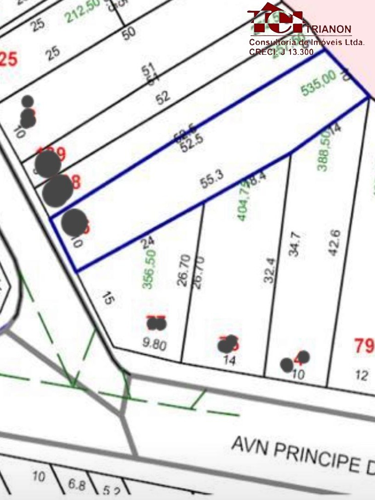 Terreno RESIDENCIAL em SANTO ANDRÉ - SP, VILA PRÍNCIPE DE GALES