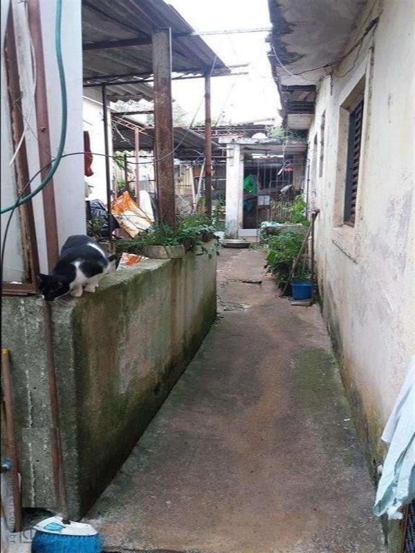 TERRENO em Santo André - SP, Vila Humaitá