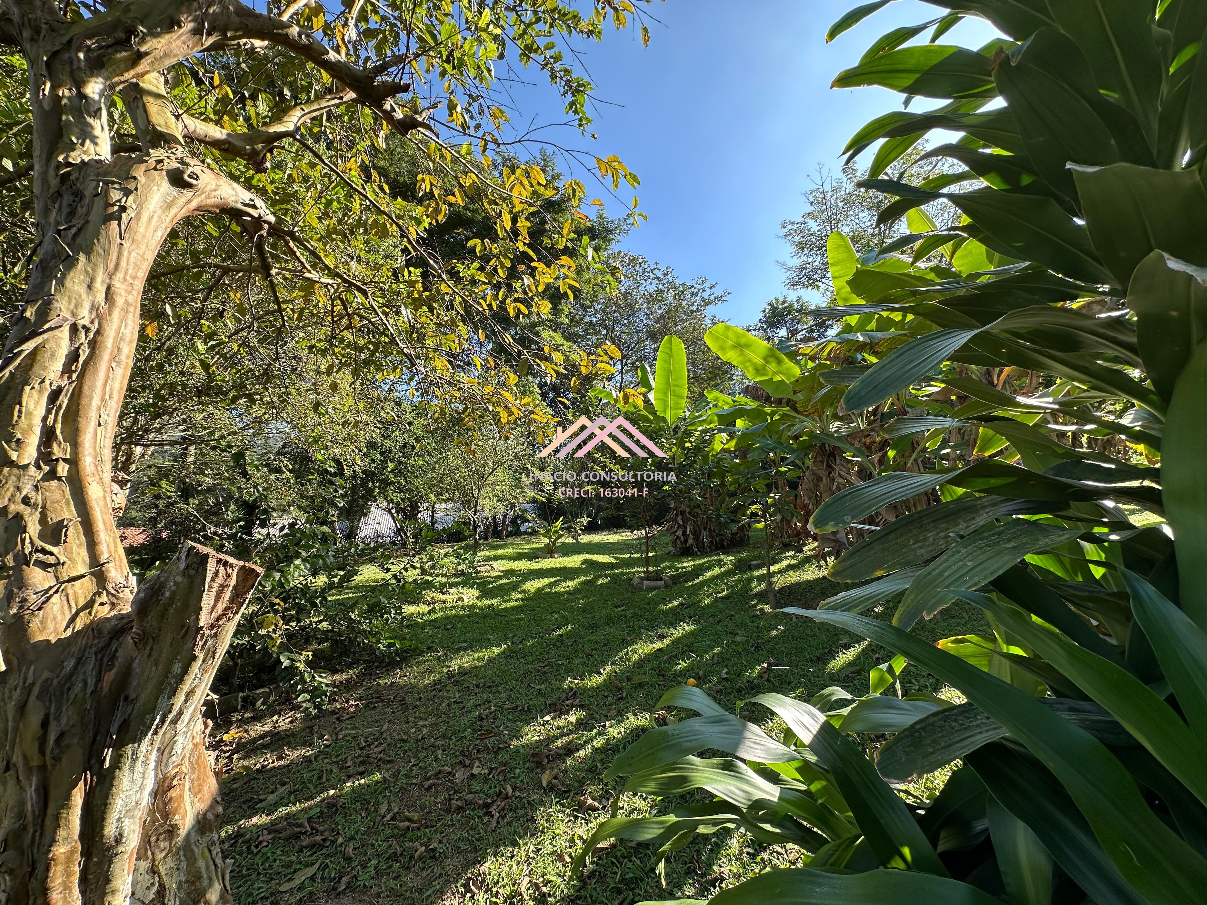 Sítio, 7 quartos, 4 hectares - Foto 17