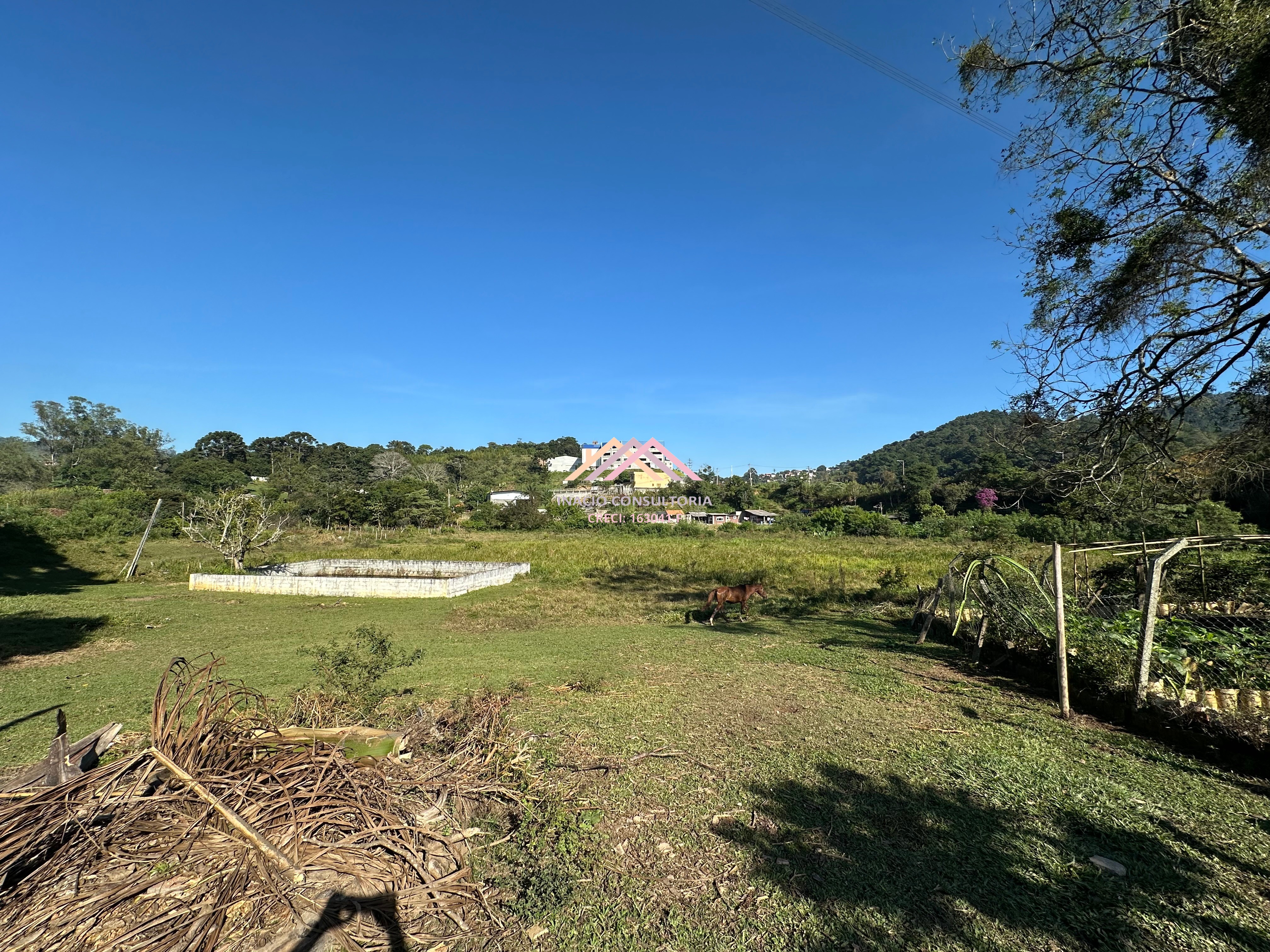 Sítio, 7 quartos, 4 hectares - Foto 18
