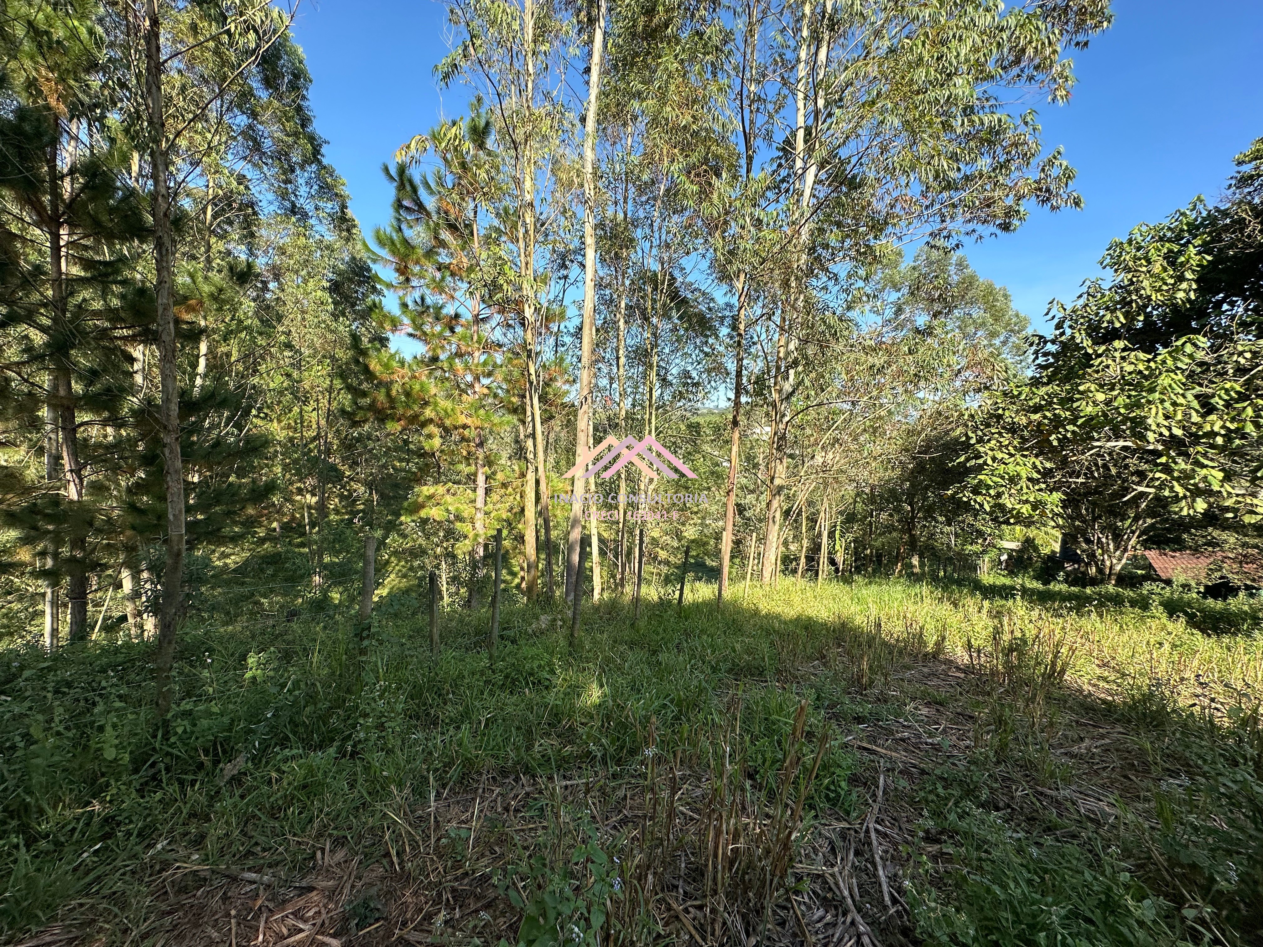 Sítio, 7 quartos, 4 hectares - Foto 14