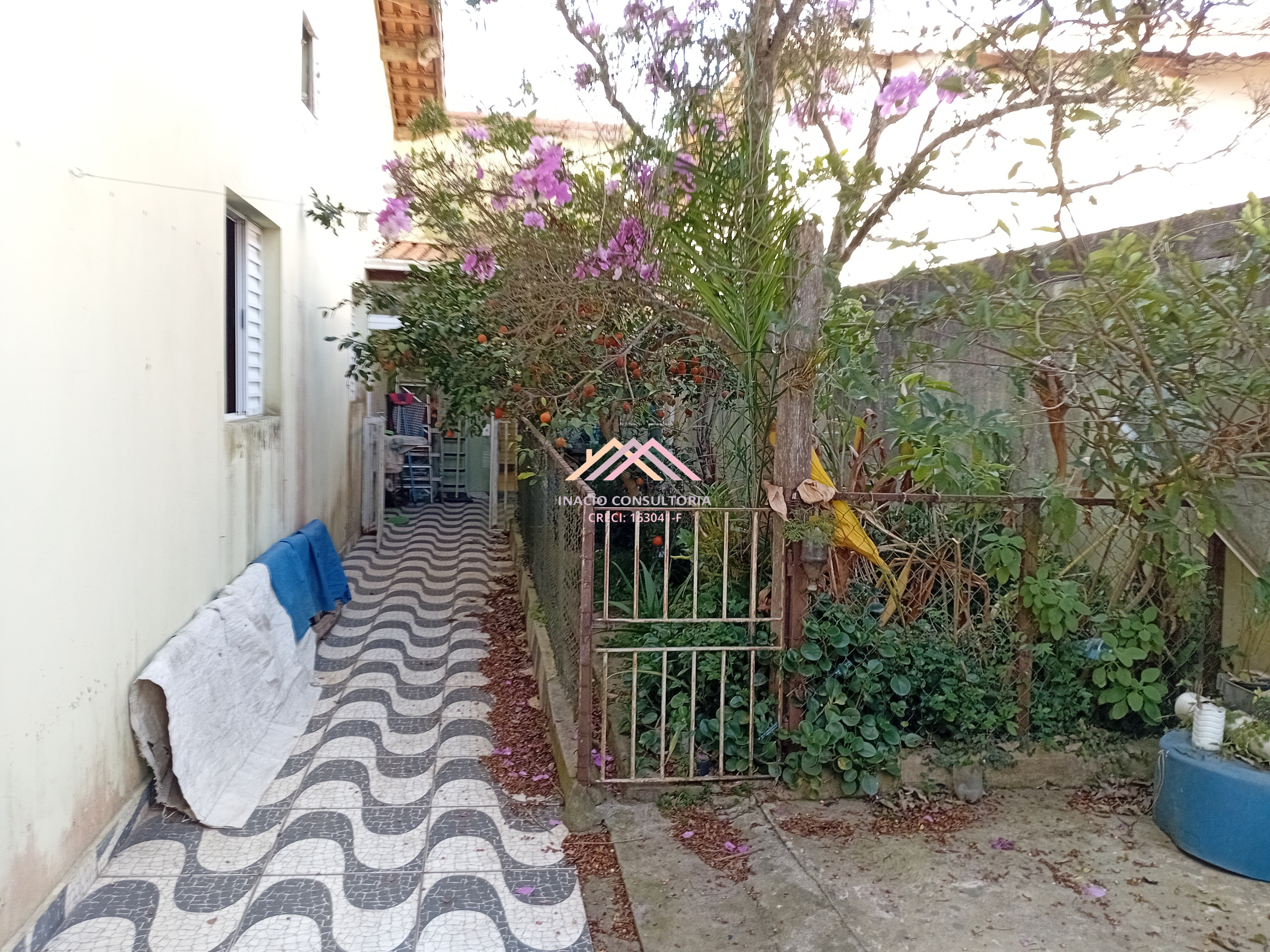 Casa, 3 quartos - Foto 13