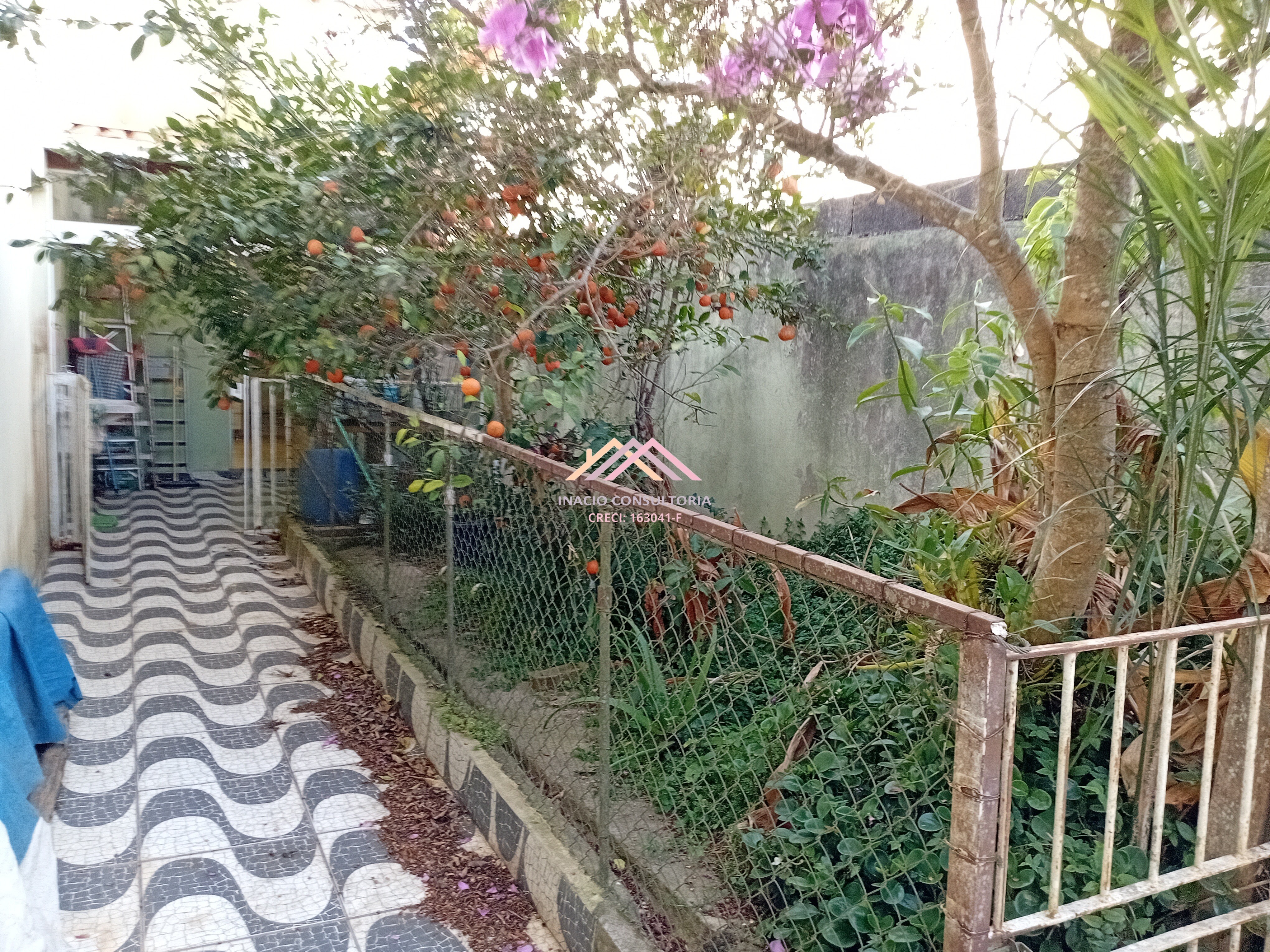 Casa, 3 quartos - Foto 14
