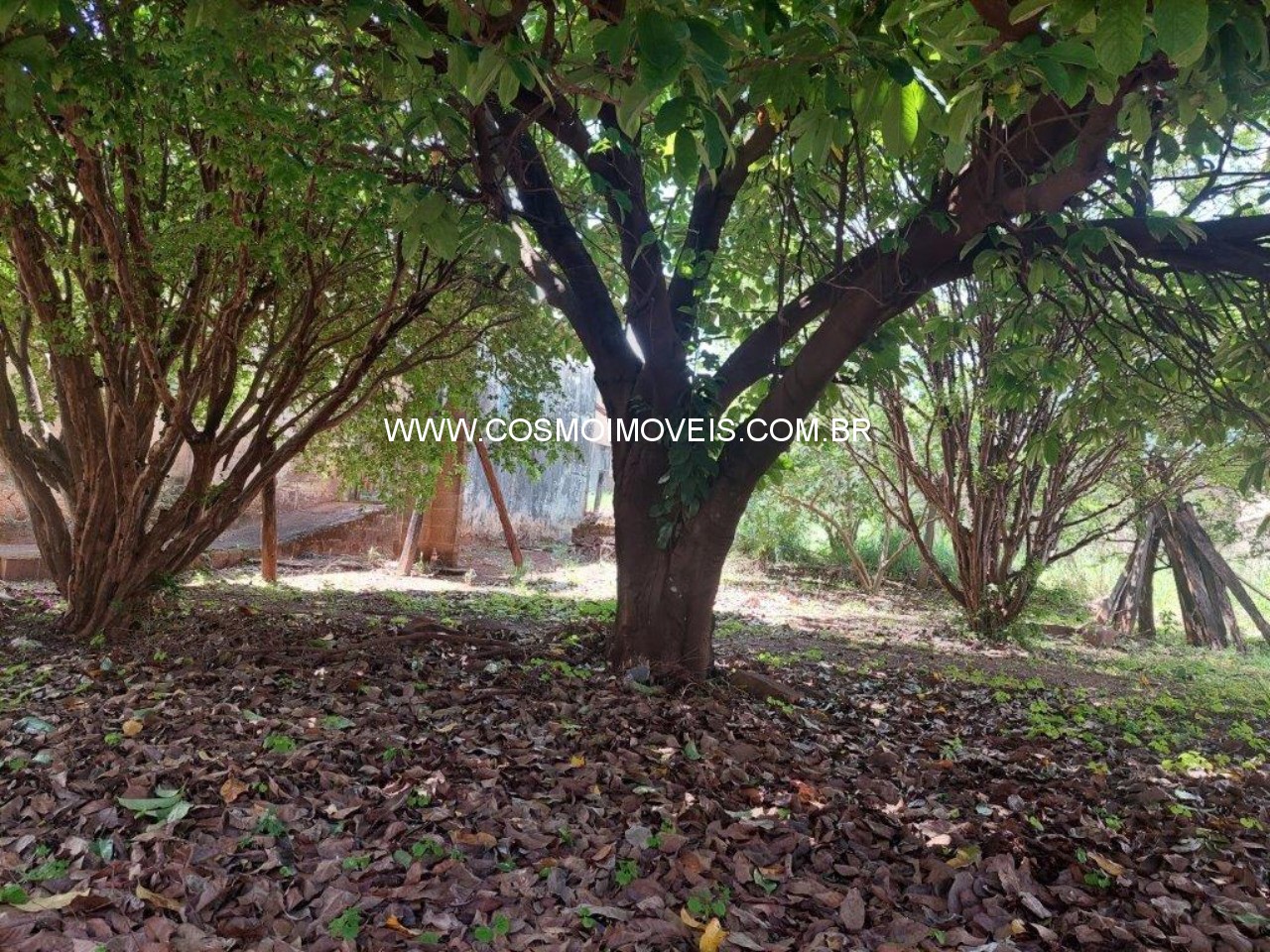 Terreno, 671 m² - Foto 15