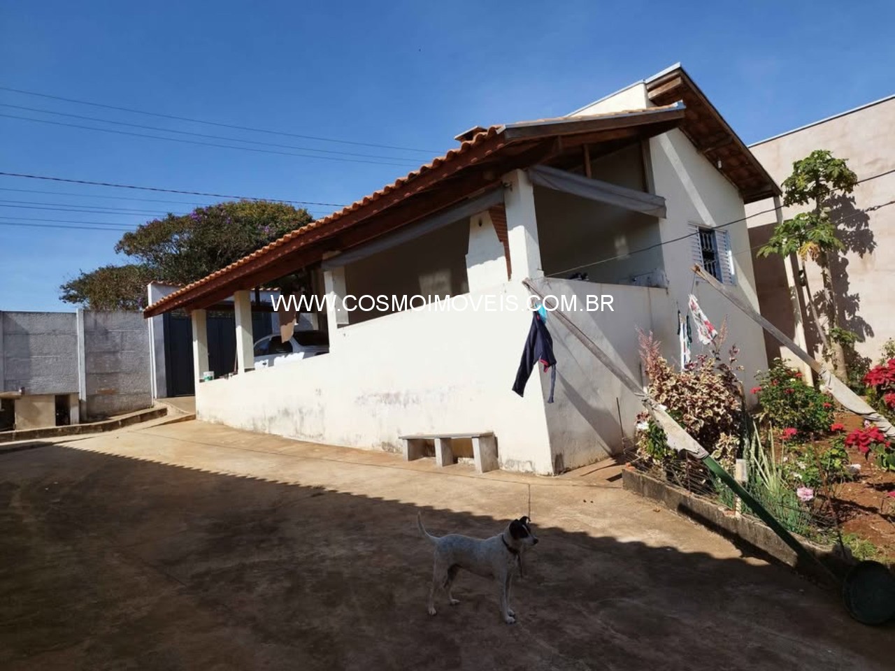 Chácara, 2 quartos, 2500 m² - Foto 4