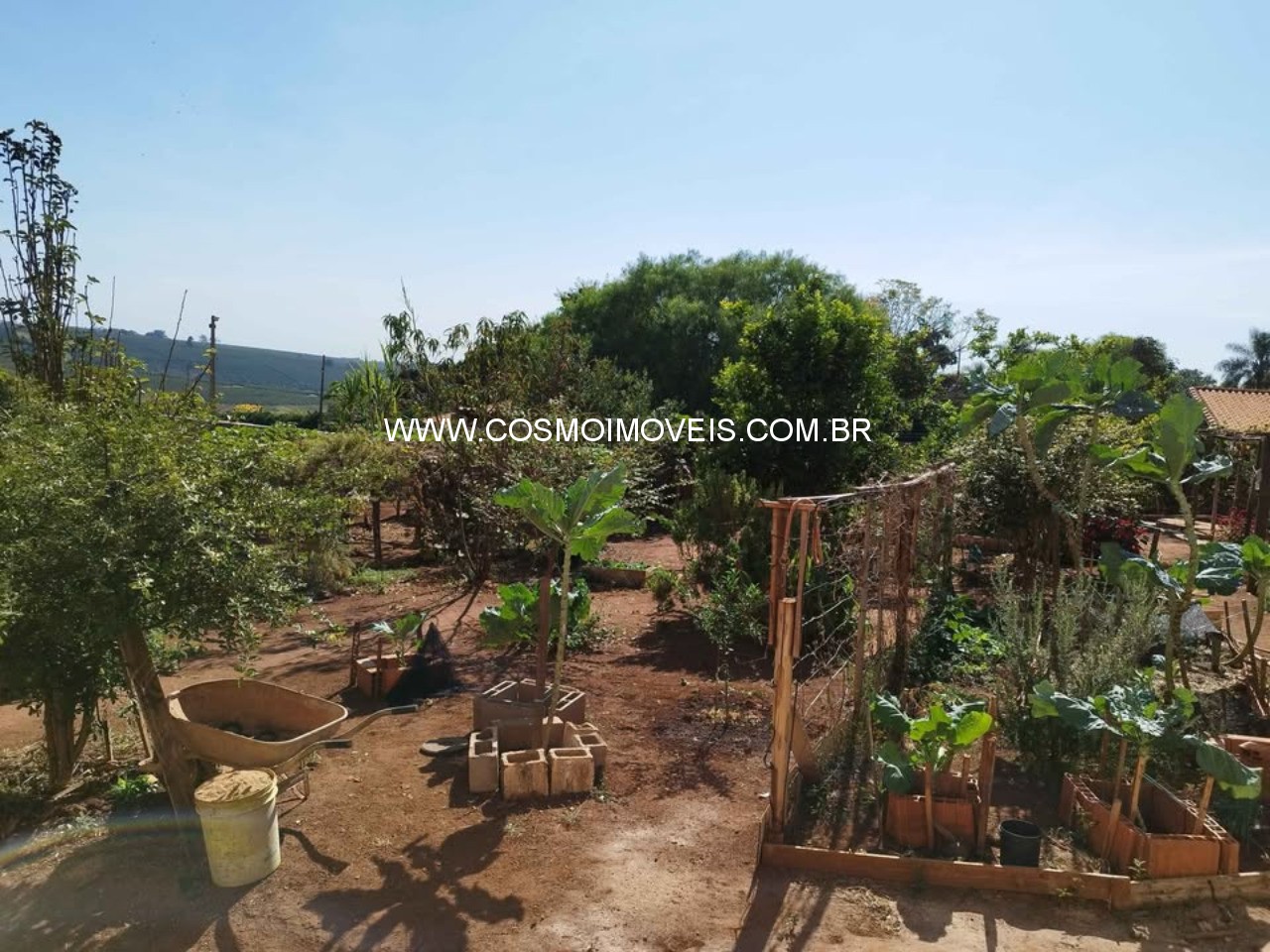 Chácara, 2 quartos, 2500 m² - Foto 3