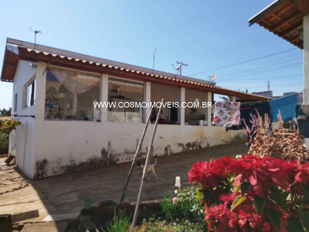 Chácara, 2 quartos, 2500 m² - Foto 5