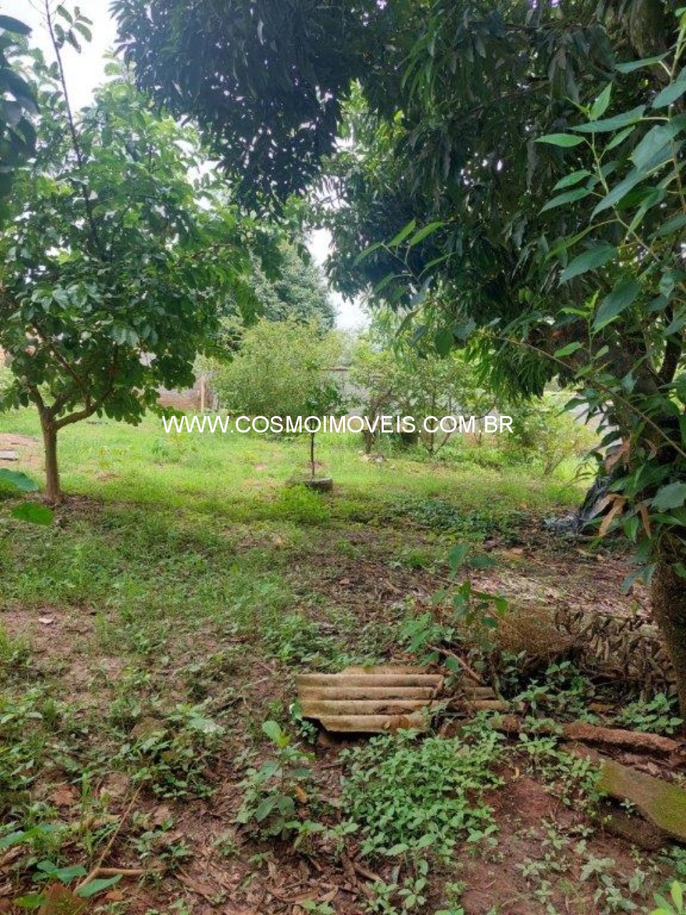 Chácara, 3 quartos - Foto 19