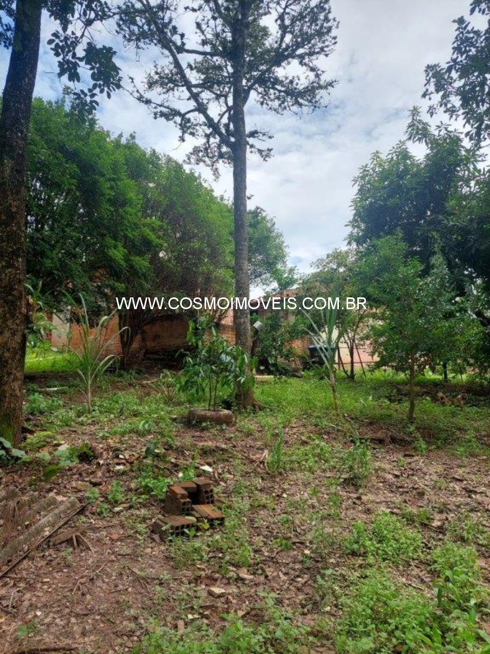 Chácara, 3 quartos - Foto 12