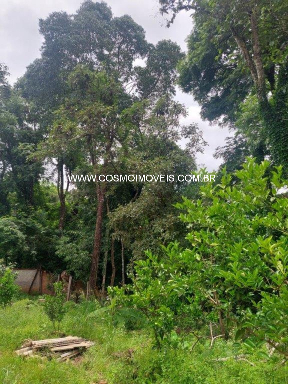 Chácara, 3 quartos - Foto 20