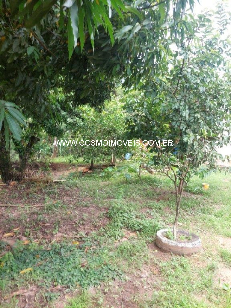 Chácara, 3 quartos - Foto 22