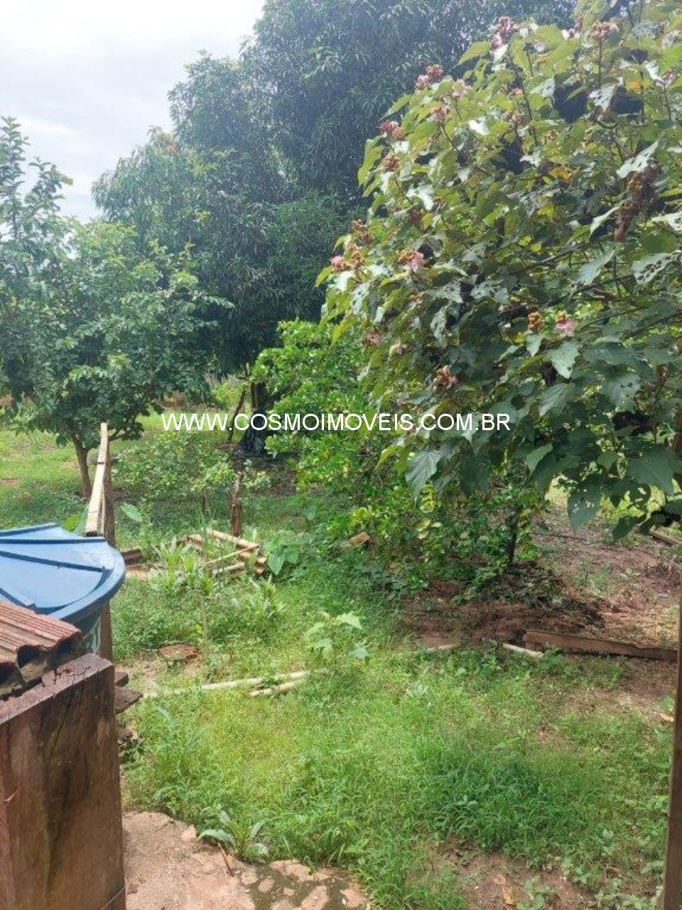 Chácara, 3 quartos - Foto 11