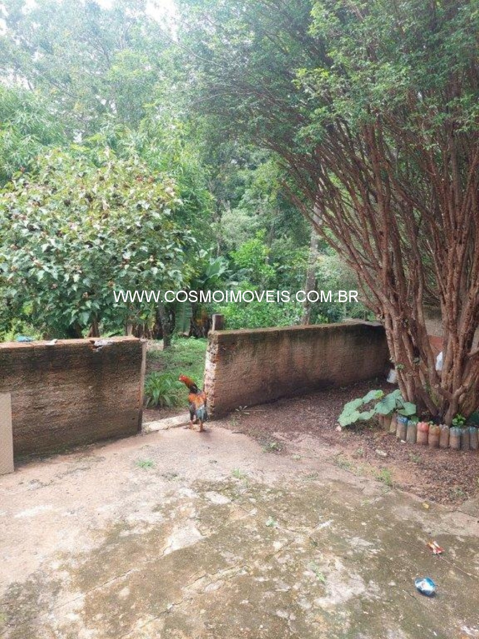 Chácara, 3 quartos - Foto 10