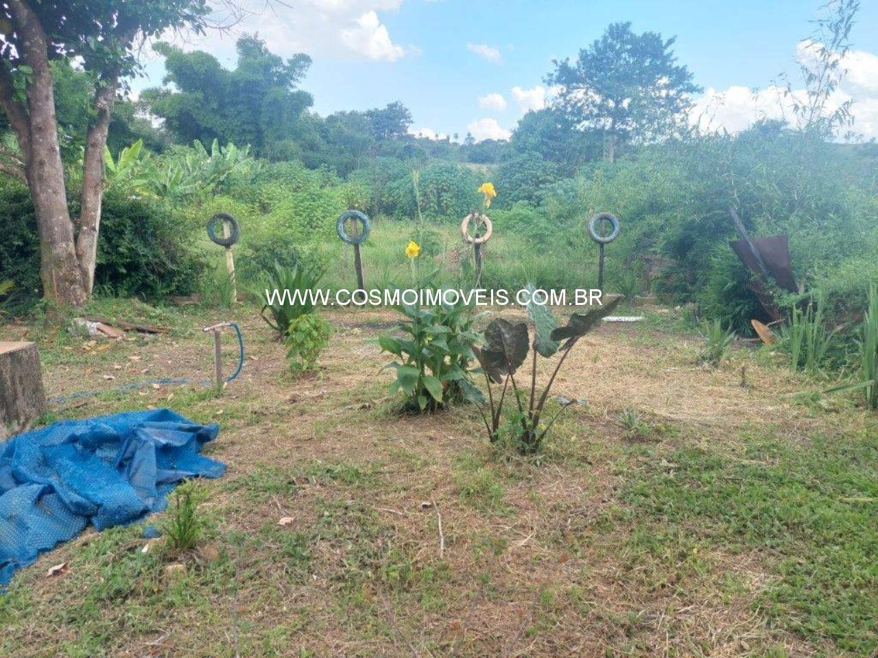 Chácara, 3 quartos - Foto 8