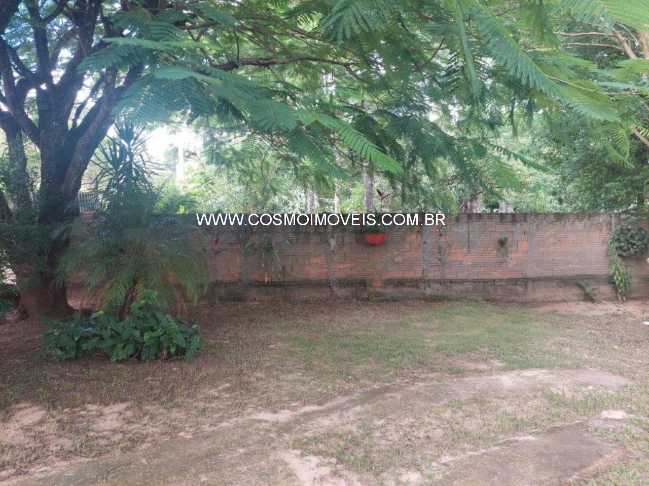 Chácara, 3 quartos - Foto 5