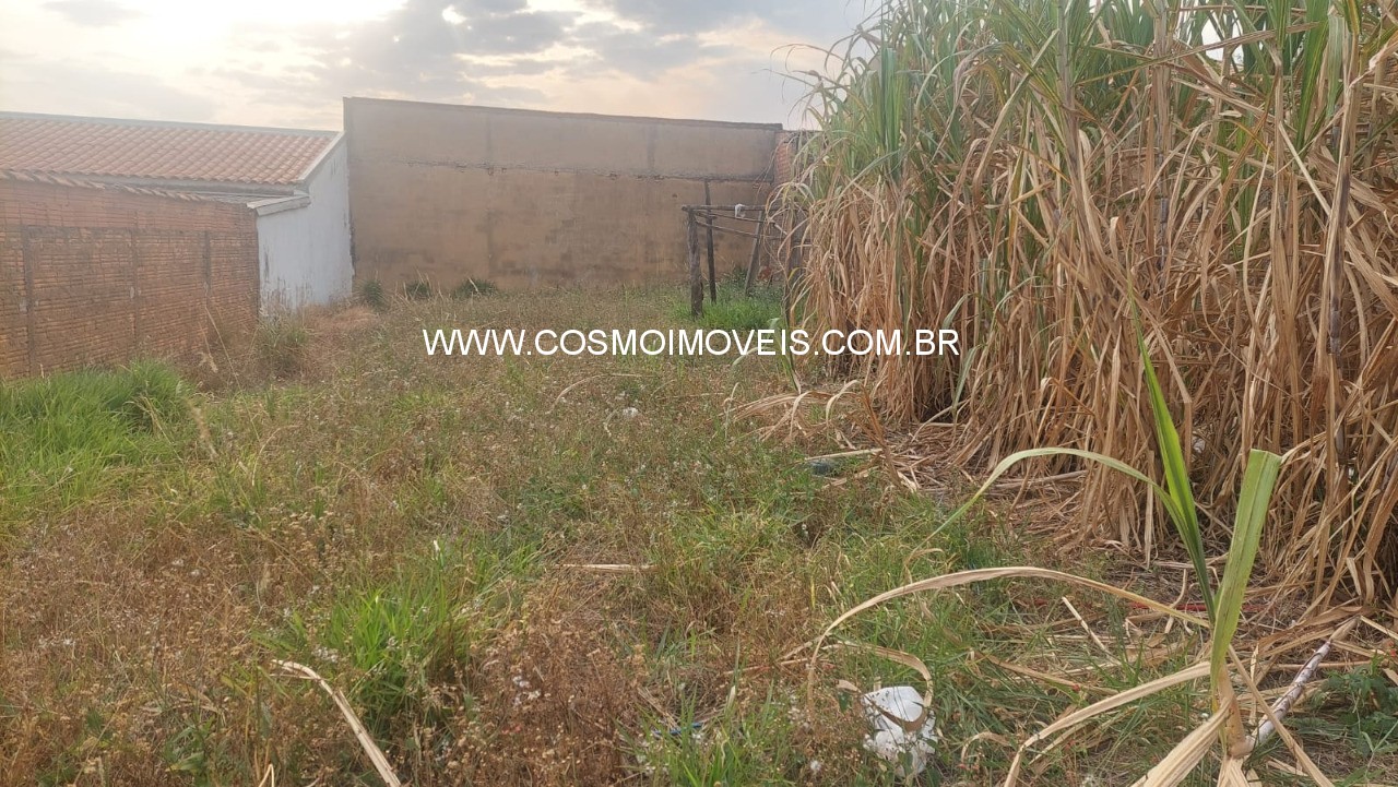 Terreno, 250 m² - Foto 7