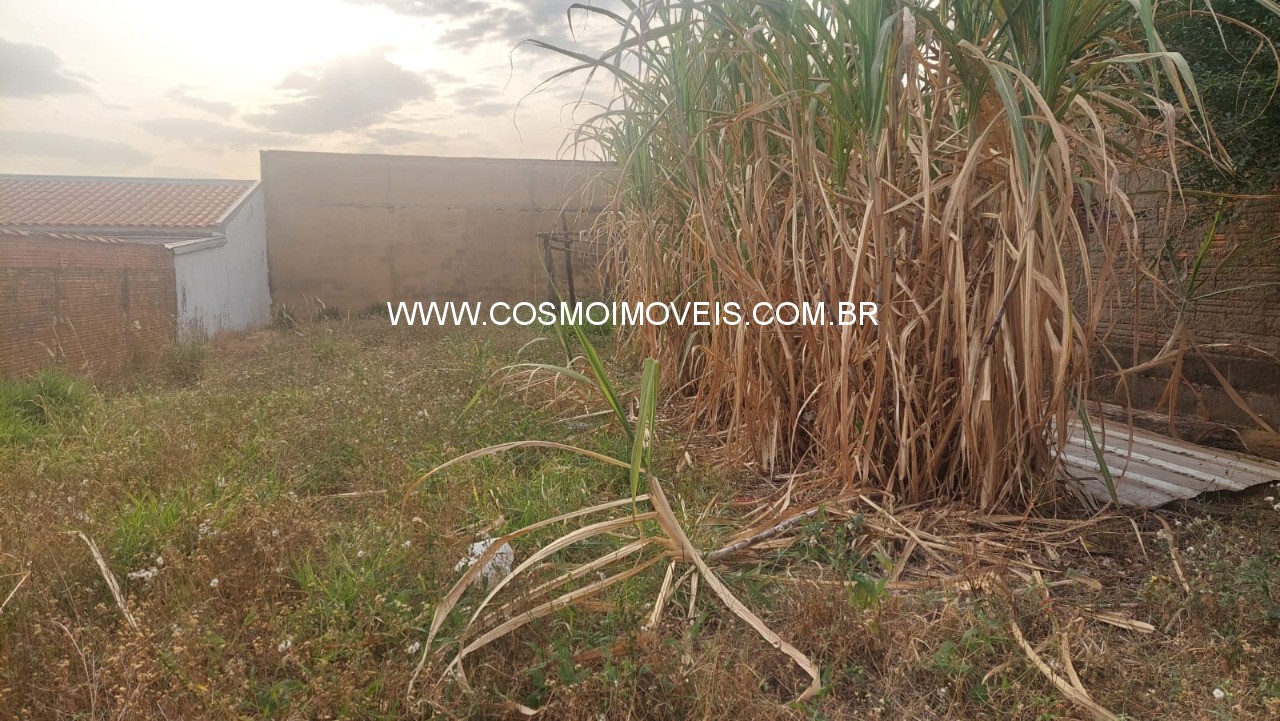 Terreno, 250 m² - Foto 2